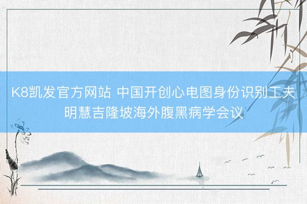 K8凯发官方网站 中国开创心电图身份识别工夫明慧吉隆坡海外腹黑病学会议