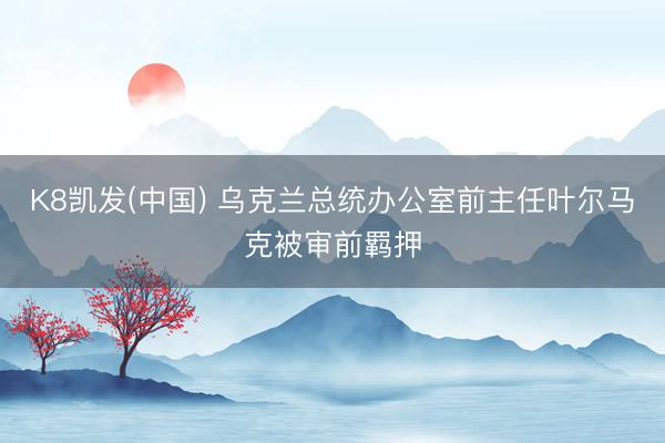 K8凯发(中国) 乌克兰总统办公室前主任叶尔马克被审前羁押