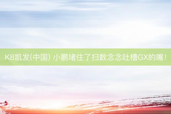 K8凯发(中国) 小鹏堵住了扫数念念吐槽GX的嘴！