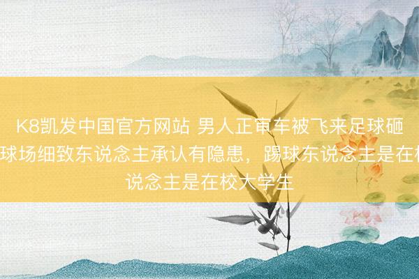 K8凯发中国官方网站 男人正审车被飞来足球砸进ICU，球场细致东说念主承认有隐患，踢球东说念主是在校大学生