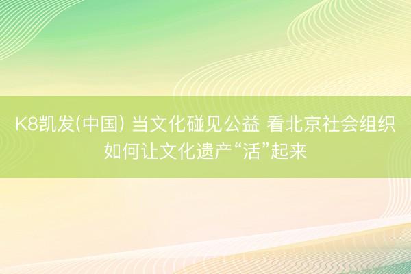 K8凯发(中国) 当文化碰见公益 看北京社会组织如何让文化遗产“活”起来