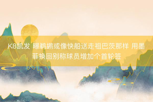 K8凯发 曝鹈鹕或像快船送走祖巴茨那样 用墨菲换回别称球员增加个首轮签