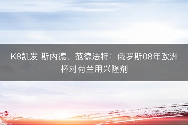 K8凯发 斯内德、范德法特：俄罗斯08年欧洲杯对荷兰用兴隆剂