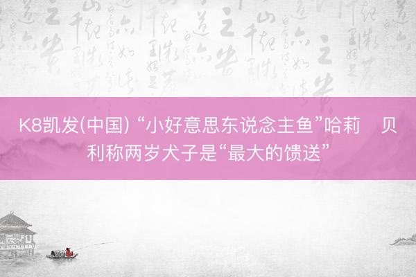 K8凯发(中国) “小好意思东说念主鱼”哈莉・贝利称两岁犬子是“最大的馈送”