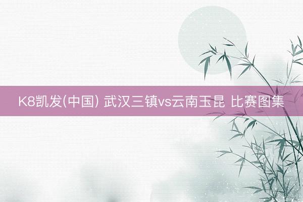 K8凯发(中国) 武汉三镇vs云南玉昆 比赛图集