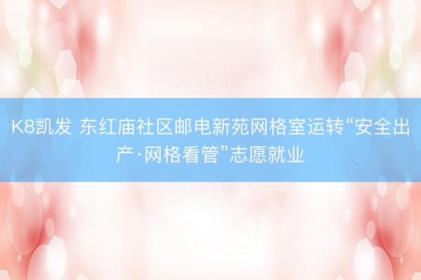 K8凯发 东红庙社区邮电新苑网格室运转“安全出产·网格看管”志愿就业