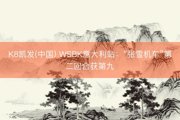 K8凯发(中国) WSBK意大利站：“张雪机车”第二回合获第九