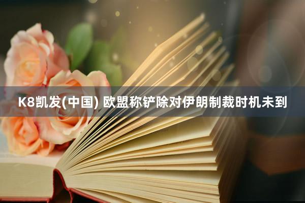 K8凯发(中国) 欧盟称铲除对伊朗制裁时机未到